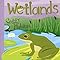 Wetlands Soggy Habitat Amazing Science Ecosystems Laura Purdie Salas Jeff Yesh
