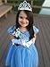 Cinderella Crystal Princess Party Costume Dress with Accessories (5-6)
