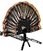 MOJO Outdoors Tail Chaser Erect Turkey Decoy