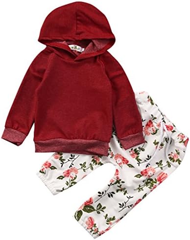 Zekyy 2Pcs Newborn Infant Baby Girls Hooded Outerwear Tops T Shirt + Flower Print Long Pants Outfits Set Clothes (6-12 Months)