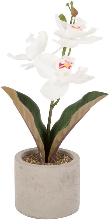 realistic-looking Artificial Orchid features three flower blooms in a stylish cement pot.