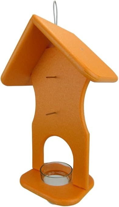 Amazon Com Jcs Wildlife Hourglass Jelly And Double Fruit Oriole