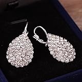 WensLTD Clearance! 1 Pairs Women Girls Cute Lady Crystal Rhinestone Earrings Elegant Jewelry (Silver)