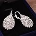 WensLTD Clearance! 1 Pairs Women Girls Cute Lady Crystal Rhinestone Earrings Elegant Jewelry (Silver)
