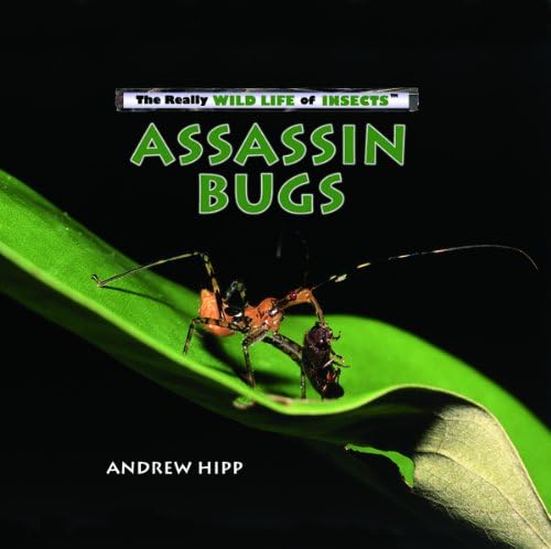 Assassin Bugs (Really Wild Life of Insects)