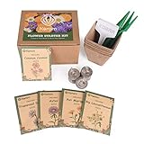 KORAM Cosmos Seeds Starter Kit, 5 Chrysanthemum