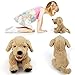 LotFancy Dog Stuffed Animals, 12 inch Cuddly Golden Retriever Stuffed Animals, Sitting Puppy Dog Plush Toy, Birthday Gift for Kids Boys Girls