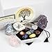13 pcs Chakra Crystal Sampler Set ~ Large Healing Kit: 6 Minerals-Amethyst Cluster, Raw Rose Quartz, Crystal Point, Selenite Blue Celestite and Half Geode + Plus 1 Bag of 7 Chakra Tumbled Stone