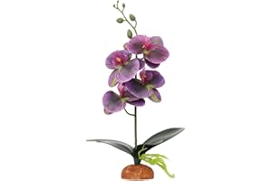 WOLEDOE Fake Orchids Artificial Flowers, Reptile Terrarium Decor Plants, Bearded Dragon Tank Accessories fit Crested Gecko Le