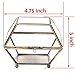 MyGift Vintage Brass & Glass Decorative Jewelry Box, Plant Terrarium Display with Lid