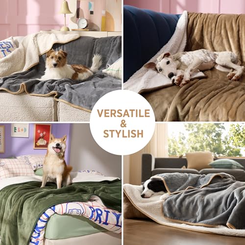 LE SURE Waterproof Dog Blanket Washable - 100x80cm Fleece Pet Blanket For Medium Dogs and Cats, Personalised Kitten Throw Protects Bed and Sofa with Soft Plush, Grey