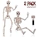 Halloween Skeleton- Full Body Posable Halloween Skeleton with Movable Joints for Best Halloween Decoration,Graveyard Decorations, Haunted House Accessories（2 Pack 16