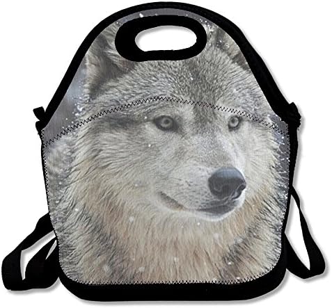 Snow Wolf Reusable Insulated Lunch Bag School Picnic Thermal Carrying Gourmet Lunchbox Lunch Tote Container Organizer For Women,Teens,Adults-Lunch Boxes For Outdoors,Work, Office, Schoo