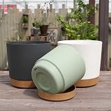 ZMTECH 16.5cm Plant Pots Set of 3 Dark Grey Modern Planters with Drainage Holes view 5