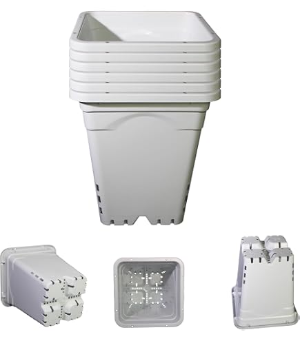plant containers plastic X-Jumbo 6-Pack Planting Containers for 1020 Tray