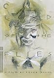 LORD OF THE FLIES / DVD (2PC)                      image