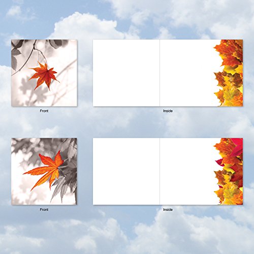 image for The Best Card Company MQ4629OCB-B1x10 Autumn Leaf: 10 Assorted Set of 
