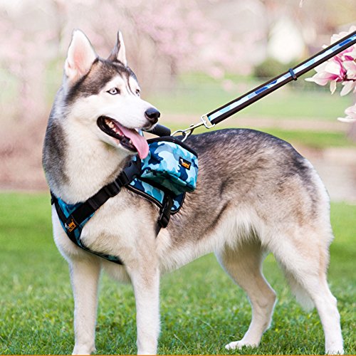 Paw Essentials Adjustable Saddle