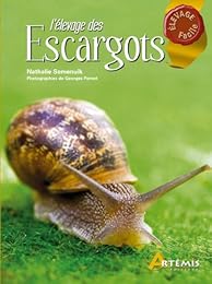 L' élevage des escargots