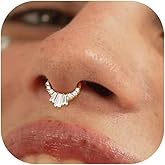 BodyBonita 16G Septum Rings Jewelry - Cubic Zirconia Luxe 316L Stainless Steel Hinged Nose Rings Hoops for Women Conch Piercing Jewelry Tragus Daith Helix Earring 14K Gold Plated/Silver 8 mm/10 mm