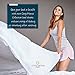 Cosy House Collection Everyday 1500 Series Bed Sheet Set - Ultra Soft & Cool Hotel Bedding - Deep Pocket - Wrinkle, Stain and Fade Resistant - 4 Piece Set (Full, Cream)