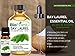 BioFinest Bay Laurel Oil - 100% Pure Bay Laurel Essential Oil - Boost Mental Alertness, Fight Fatigue - Premium Quality - Therapeutic Grade - Best For Aromatherapy - FREE E-Book (10ml)