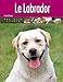 Le Labrador by 