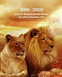 2019 - 2020 | 18 Month Weekly & Monthly Planner July 2019 to December 2020: Lion and Lioness Big Cat by Dazzle Book Press