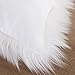 Dreamaker Luxury Soft Fluffy Cushion Cover Pillowcase, Faux Fur Throw Pillow Covers Fuzzy Cushion Cover, Decorative Throw Pillows Covers, 18X18 inches (Ivory White, 2 Pack)