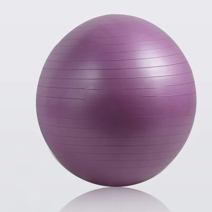TRER Deportes Bolas de Yoga Bola Pilates Fitness Ball Gym ...