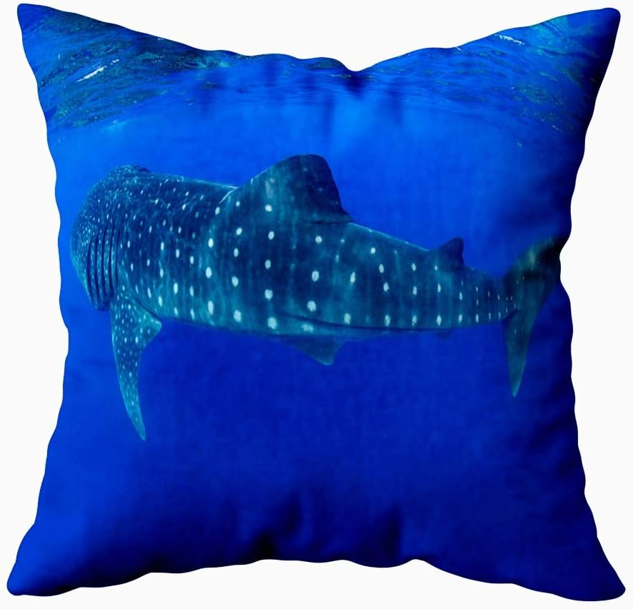 Musesh Pillow Cases Standard Size, Decorative Zip Pillow Cover Whale Sharks Swimming Blue Waters Mexico Mujeres 16X16Inch for Sofa Home Holiday Pillow Covers