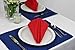 DII Solid Napkin Set Collection, 20x20, Tango Red, 6 Piece