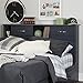 South Shore Ulysses Bookcase Headboard with Doors, Full, Blueberry