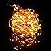 Birsppy HDE Waterproof LED String Lights [Flexible Copper Wire] Indoor Outdoor Lighting Fairy Light Strand with Power Adapter - College Dorm Room Accessory (33 feet) - Warm White