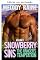 Livro Pecados de Snowberry: A tentação do guarda-florestal, Volume 1 (Pecados de Snowberry: A tentação da guarda florestal)