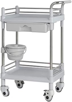 Amazon Com Nhlzj Portable Cart Gr Gray 2 Shelves Abs Medical