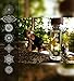 Original NALU CHAKRA -7 Chakras- Perfect Yoga Gift - Tea Infuser Tumbler, Fruit Infusion Glass Bottle & Coffee Brewer with Filter 15.8oz
