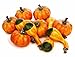Factory Direct Craft Assorted Artificial Autumn Mini Gourds and Mini Pumpkins -12 Pieces