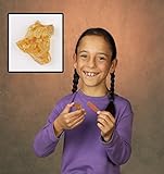 Homeschool Prehistoric Amber Craft Kit makes 100 projects