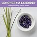 Natural Mineral Bath Salts by DANI Naturals – Calming Lemongrass Lavender Scent – Moisturizng Spa Soak – 14 Ouncesthumb 2