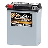 Deka Power Sports ETX15 battery