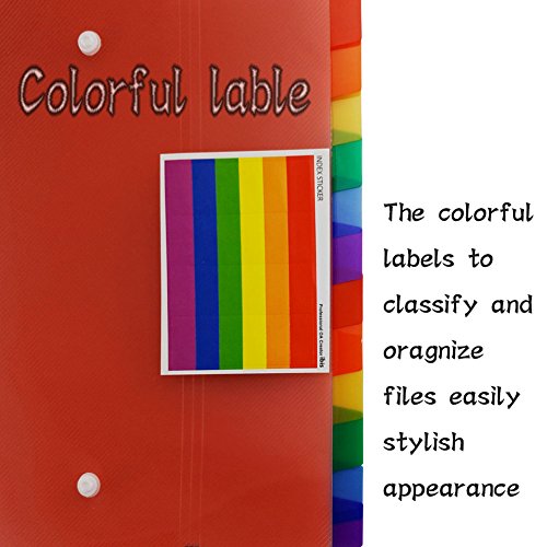 13 Pockets Portable File Folders, A4 Expanding Document Folder, Plastic Expandable Accordian Organizer