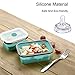 Collapsible Silicone Food Containers Storage 4 Pack Lunch Bento Box with Lid for Camping, Hiking, School CP012