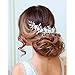 Catery Flower Bride Wedding Headband Silver Crystal Pearl Rhinestone Hair Vine Braid Babys Breath Headpieces Bridal Hair Accessories for Women