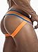 PUMP! Cruise Jock