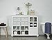 Ameriwood Home Reese Park Storage Cabinet, White