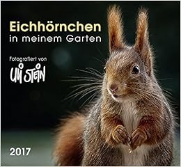Eichhornchen In Meinem Garten 2017 Wandkalender Fotografiert Von Uli Stein Amazon De Stein Uli Bucher