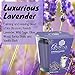 Aroma From Nature Luxurious Lavender 4 oz AireCare Scented Candle – 1 Pack – Aromatherapy Candles – Home Fragrance – Apothecary Glass With Single Wickthumb 4