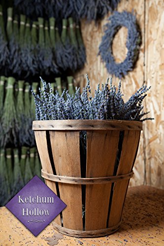 100% Natural Dried Lavender Bouquet from Ketchum Hollow, Grown in Idaho, USA, Bundle is Carefully Packaged for Safe Shipping, Perfect for Weddings, Home Decor, Gifts, and More