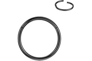 FANSING 316l Surgical Steel Hinged Nose Rings Hoop 20G 18G 16G 14G 12G 10G 8G 6G, Diameter 5mm to 22mm, Gold - Rose Gold - Silver - Black - Blue - Rainbow